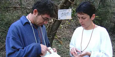 Fang Aventura