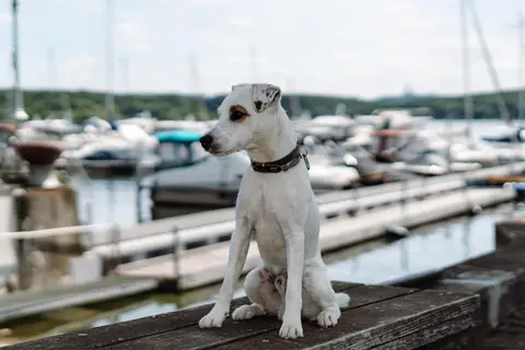 Wohnmobil Stellplatz Marina Lanke