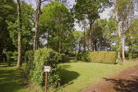 Camping Municipal de Bléneau
