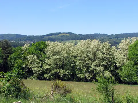 Camping La Vallée Verte