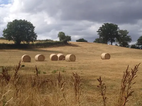 La Bedure