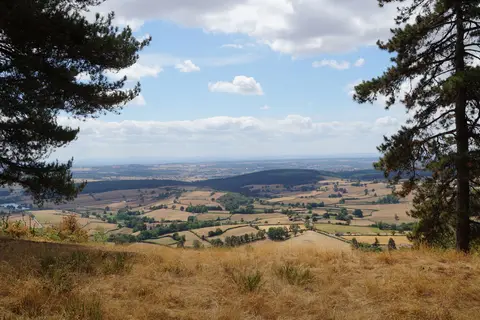 La Bedure