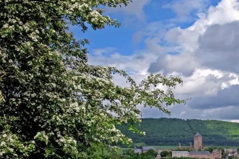 Burg Lichtenberg