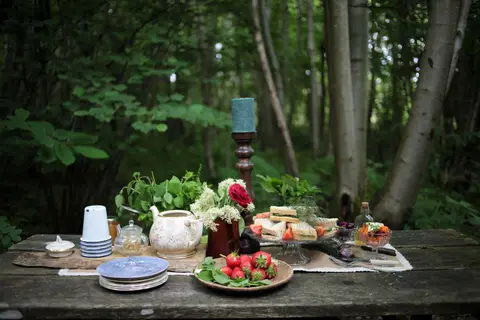 Welsummer Camping