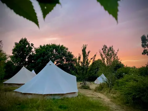 Welsummer Camping