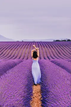 Les Grands Prés