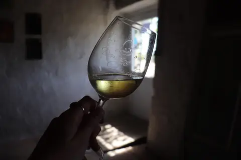Domaine de la Gauche