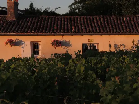 Domaine de la Gauche
