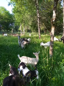 La Ferme des Maziers