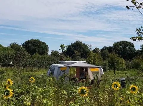 Natuurkampeerterrein Buitenhof