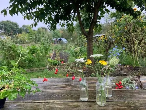 Natuurkampeerterrein Buitenhof