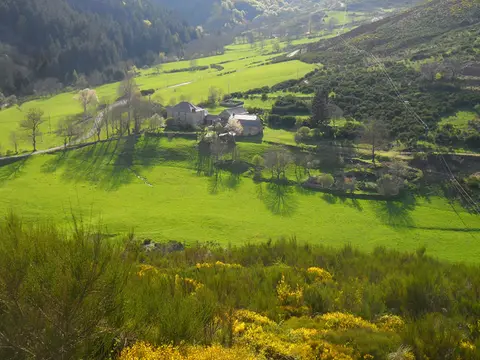 Aire naturelle de l’Aigoual