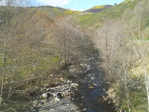 Aire naturelle de l’Aigoual