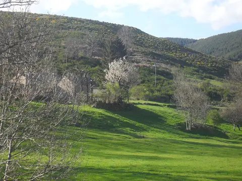 Aire naturelle de l’Aigoual
