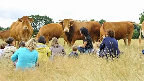 La Ferme de la Maison Neuve