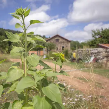 Le Marconnès