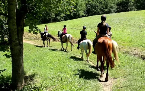 Ferme Pédagogique Au Fer à Cheval