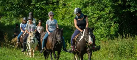 Ferme Pédagogique Au Fer à Cheval