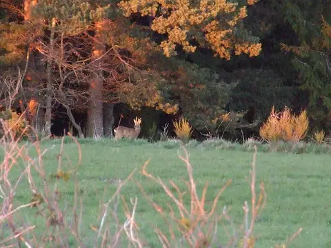 Camping Les Deux Frères