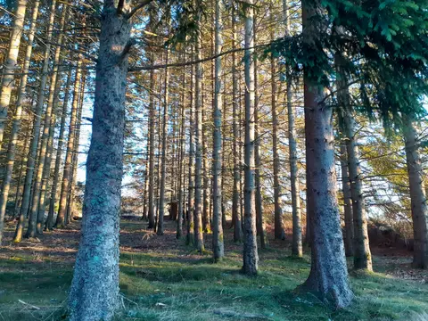 Camping Les Deux Frères