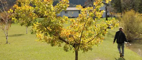 Camping Obermayr Elisabethsee