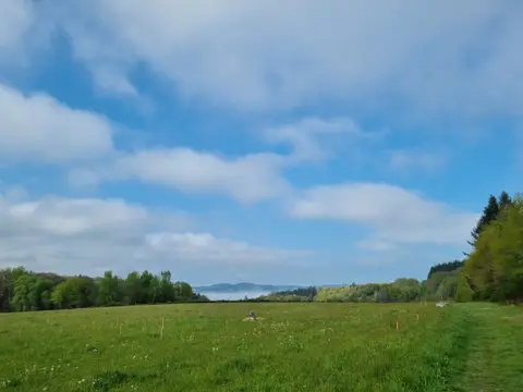Les Quatre Saisons