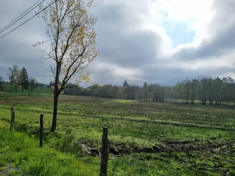 Les Quatre Saisons