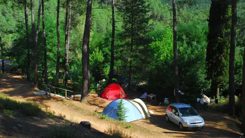 Camping La Foret