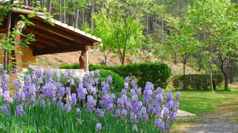 Camping La Foret