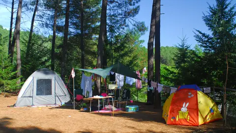 Camping La Foret