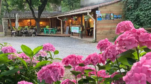 Camping La Foret