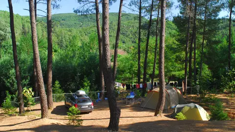 Camping La Foret