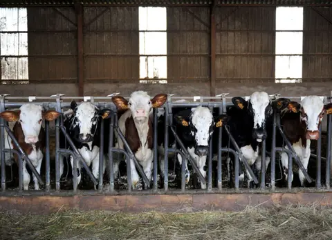 Camping à la ferme Les Baies Sauvages