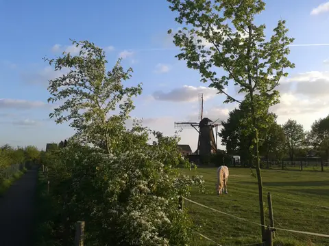 Kamp Molenzicht