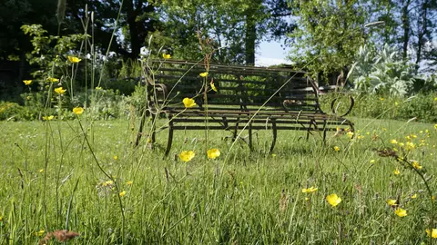Forest Garden Shovelstrode