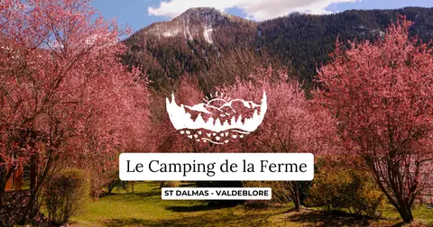 Le camping de la ferme de St Dalmas Valdeblore