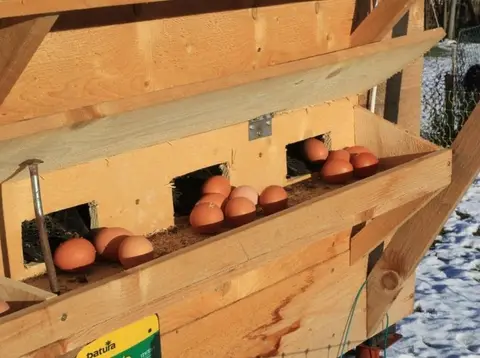 La ferme des paysans voyageurs