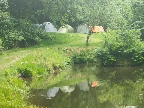Yomer Wood Camping