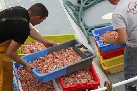 Les Vergers de Squividan