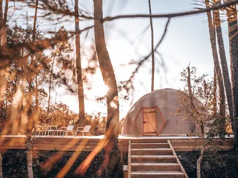 Ocean Shelter