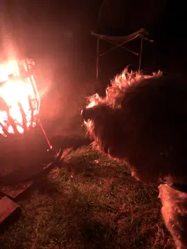 Hare and Hounds Campsite