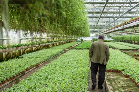 't Groen Beleven