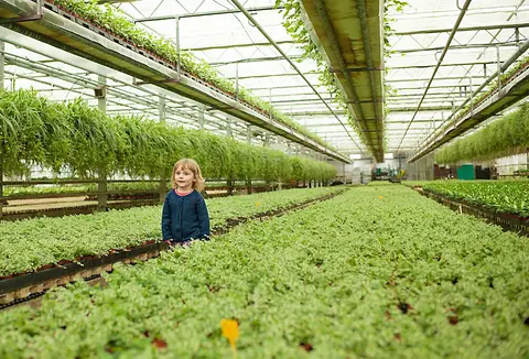 't Groen Beleven