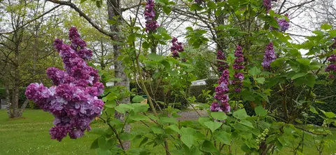 Camping de la Perche