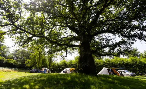 Camping En Bourgogne Dans Le Morvan : La Fougeraie
