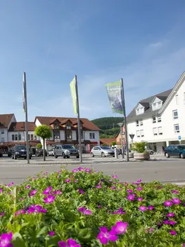 am Bahnhof Zollhaus