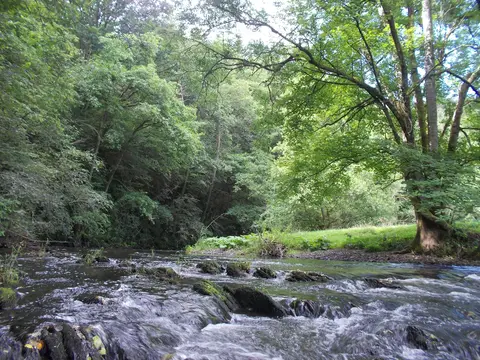 Aire de bivouac de la Bergerie