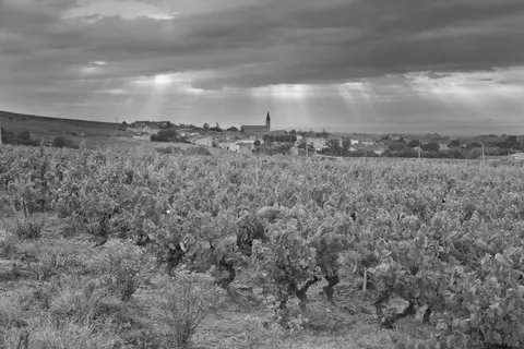 Domaine Matray