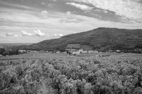 Domaine Matray