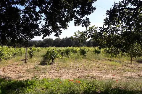 Camping Les Boudougnes